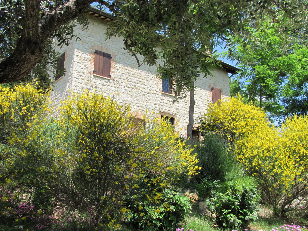 Old House, villa with private swimming pool for holiday in Penna San Giovanni Marche Italy